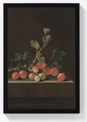 Produktbild von Kunstdruck „Stachelbeeren auf einem Tisch“ von Adriaen Coorte – 40 x 60 cm – Holzrahmen schwarz