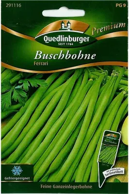 Produktbild von Quedlinburger Saatgut - Buschbohnen Ferrari - Samen - 291116