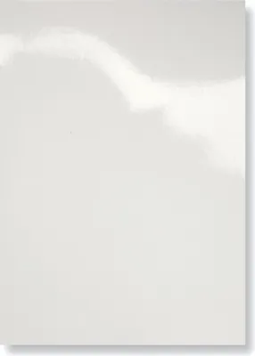 Image de pavo Couverture Chromolux brillant DIN A4 blanc 100 couvertures