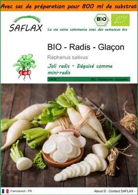 Image de SAFLAX Garden in the bag -- Radis - Glaçon - 100 graines - Raphanus