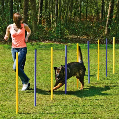 Produktbild von Agility-Slalom-Set, professionelles Stangen-Set – 6 Stangen, Trainingsstangen – Slalomstangen – Slalomstangen – Hundetraining, Sport und Wettkampf –