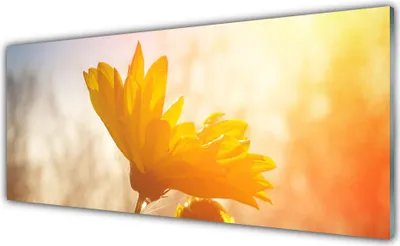 Produktbild von Acrylglasbilder 125x50 Wandbild Druck Sonnenblume Pflanzen