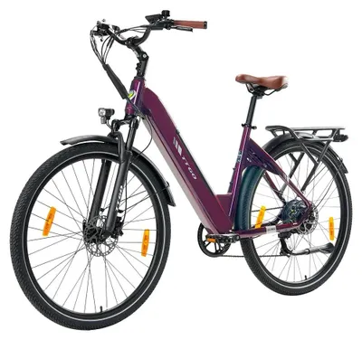 Immagine prodotto di E-bike - Per spostamenti urbani - Ruote da 71 cm - Batteria da 20 Ah - Motore da 250 W - Velocità massima 25 km/h - Sensore di coppia - Freni idraulici - Rosso