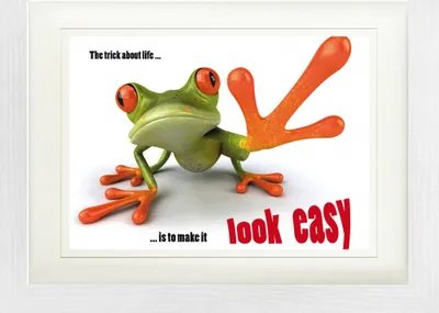 Obrázek produktu pro Žáby Zarámovaný obraz s elegantním paspartou | Obrazy na zeď | V rámu - Easy Life, Žabí filozofie (30 x 40 cm)