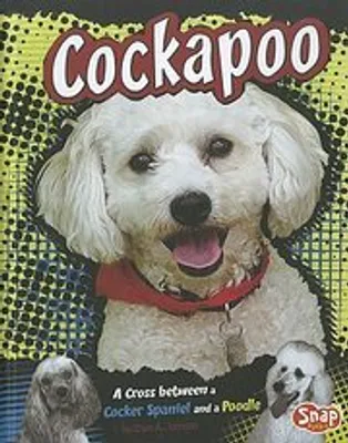 Produktbild von Cockapoo