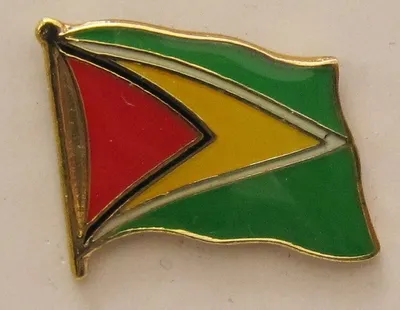 Produktbild von Guyana Pin Anstecker Flagge Fahne Nationalflagge