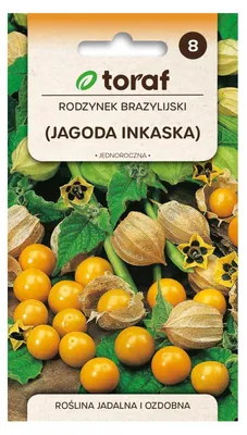 Zdjęcie produktu dla Rodzynek brazylijski JAGODA INKASKA 0,2g
