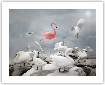 Produktbild von Poster - Poster ohne Rahmen - Flamingo Schwan Fantasie - 50x40 cm - Wand Bild - Wanddeko - Wandbilder - Kunstposter - Wandposter - Bilder - Kunstdruck - Wanddekoration - Wandbild - P2XAA50x40-4929