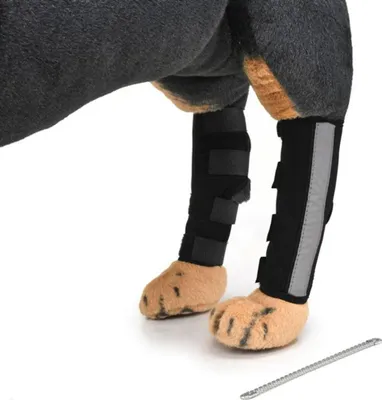 Produktbild von Hundeknieorthese für Kreuzbandstütze Atmungsaktive Hundebeschützer für Verletzungsschutz M