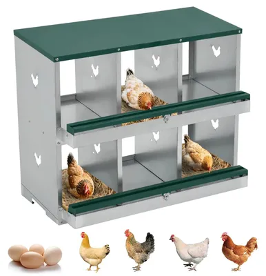 Imagen del producto de Jaulas para gallinas ponedoras, sistema de recogida de huevos deslizante, estructura de acero galvanizado, 6 compartimentos
