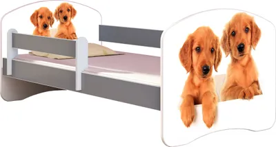 Produktbild von ACMA Jugendbett Kinderbett Junior-Bett Komplett-Set mit Matratze Lattenrost und Rausfallschutz Grau 39 Welpen 160x80