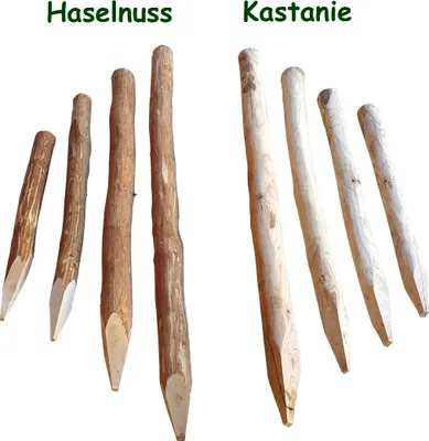 Produktbild von Zaunpfosten Haselnuss oder Kastanie - Holzpfosten geschält und angespitzt Haselnuss 100 cm 6-10 cm