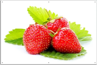 Produktbild von Wallario Outdoor-Poster für Garten oder Balkon, Motiv Frische rote Erdbeeren für die Küche, in ca. 61 x 91,50 cm