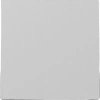 Immagine prodotto di Gira interruttore a bilanciere, sistema 55, grigio, m, 1 pz.