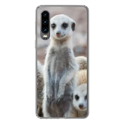 Produktbild von MuchoWow® Handyhülle Schutzhülle Hülle für Huawei P30 Neugierige Erdmännchen Silikon Softcase Handy Hülle - Kartenbesitzer