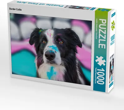 Produktbild von CALVENDO Puzzle Border Collie | 1000 Teile Lege-Größe 64x48cm Foto-Puzzle für glückliche Stunden