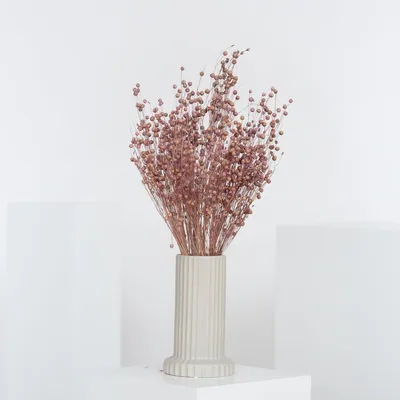 Immagine prodotto di Lino (Linum) - Fiori secchi 40 cm, 1 mazzo in rosa, bianco o rosso