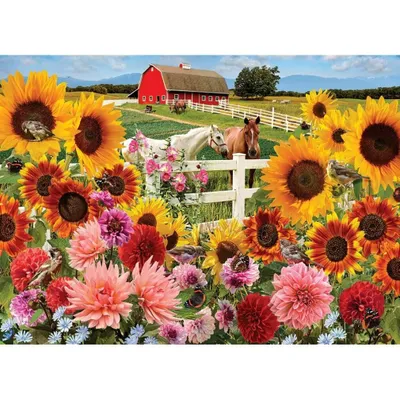 Productafbeelding van Cobble Hill Zonnebloemenboerderij, 1000 stuks