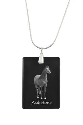 Imagen del producto de Art-Dog Collar con colgante – Caballo árabe – con cadena de serpiente de plata