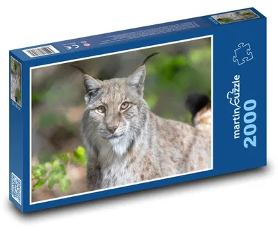 Zdjęcie produktu dla Puzzle 2000 Ryś na wolności - martinpuzzle