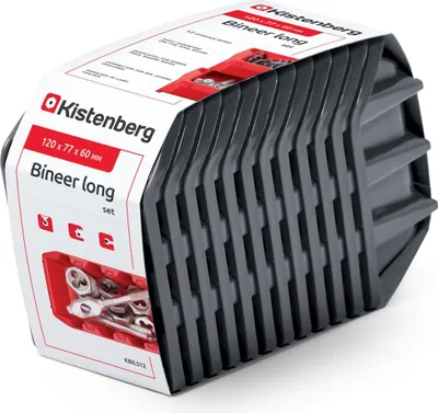 Obrázok produktu pre Sada 12 úložných boxov BINEER LONG 120x77x60 mm čierna