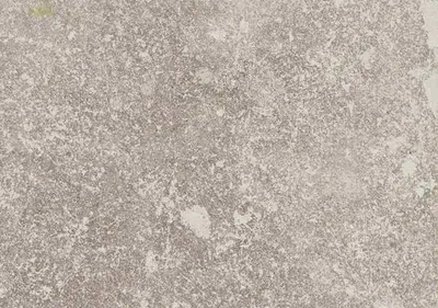 Immagine prodotto di CASA39 Gres porcellanato effetto pietra Grigio 60x120 cm Castelvetro