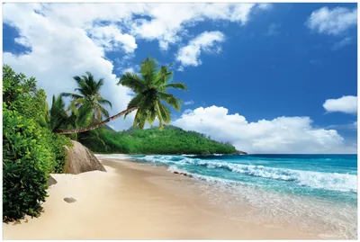 Produktbild von Wallario Premium Glasbild, freischwebende Optik, kräftige Farben, Größe 90 x 60 cm Motiv Urlaub auf den Seychellen unter Palmen am Sandstrand