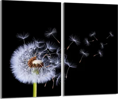 Obrázok produktu pre Sklenený keramický kryt varnej dosky 2 kusy 30x52, Dandelion Black