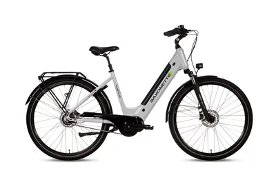 Produktbild von SAXONETTE Premium Plus 3.0 Wave 28" E-Bike, Pedelec mit Mittelmotor, 8-Gang Nexus Nabenschaltung, 36V 14,5Ah Akku, RH 50 (silber matt)