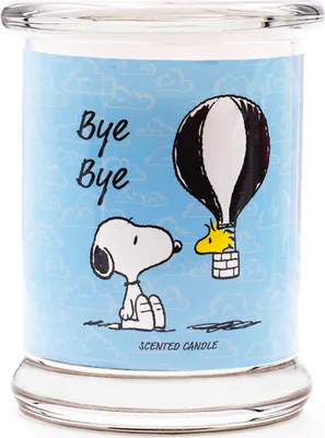 Image de Bye Bye - Bougie Parfumée 250g de Peanuts