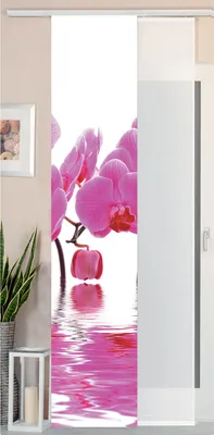 A close-up of pink orchids reflected in water, presented as a sliding curtain panel.