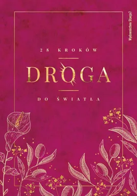 Produktbild von Droga. 28 kroków do Światła