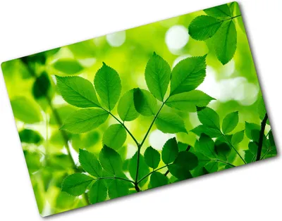 Produktbild von Tulup Glas Herdabdeckplatte - 80x52 cm - Glaskeramikkochfeld-Abdeckung Spritzschutz Glasabdeckplatte - Einteilig - Blumen & Pflanzen - Grüne Blätter - Grün