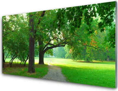 Produktbild von Acrylglasbilder 100x50 Wandbild Druck Fußpfad Bäume Natur