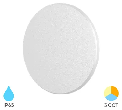 Produktbild von Braytron LED Außen Wandleuchte 8W Warmweiß Neutralweiß Kaltweiß 3CCT 760 lm Rund Weiß Kunststoff IP65