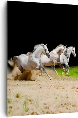 Produktbild von Bild auf Leinwand - Leinwandbild - Einteilig - Pferde Sand Gras - 70x100cm - Wand Bild - Wanddeko - Wandbilder - Leinwanddruck - Wanddekoration - Leinwand bilder - Wandbild - PA70x100-0175