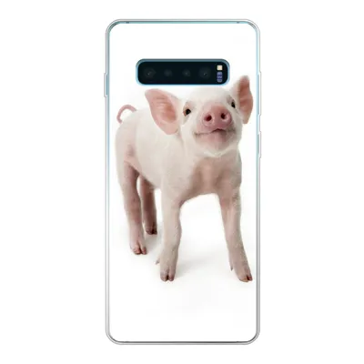 Produktbild von MuchoWow® Handyhülle Schutzhülle Hülle für Samsung Galaxy S10 Lite Schwein - Tiere - Weiß Silikon Softcase Handy Hülle - Schutz