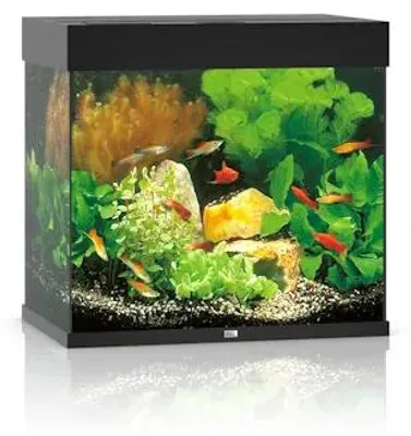 Productafbeelding van Juwel Lido 120 LED | 120L | 61 x 41 x 58CM Zwart