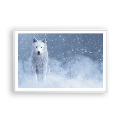 Produktbild von Gerahmtes Poster - Weißer Rahmen - Weiß Wolf Schnee - 91,5x61 cm - Wand Bild - Wanddeko - Wandbilder - Kunstposter - Wandposter - Bilderrahmen - Bilder - Kunstdruck - Wanddekoration - P2WAA91x61-5006