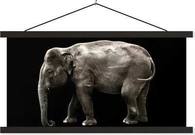 Produktbild von MuchoWow® Textilposter Elefant - Wilde Tiere - Schwarz 120x60 cm mit schwarzem Rahmen - Dekoration Schlafzimmer