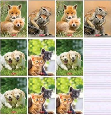 Produktbild von Zeszyt A4 32 kartki w linię Animals - 10 sztuk