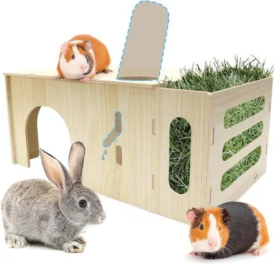 Productafbeelding van 3 in 1 Cavia Hooi Rack, Houten Accessoires voor Cavia's met Hooi Rack, Drinkfles Houder en Speelhuisje, 40x17x24 cm voor Kleine Dieren z