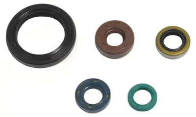 Obrázek produktu pro Sada těsnění motoru ATHENA P400250400049