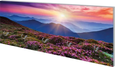 Produktbild von Wallario Flurgarderobe Wandgarderobe aus Glas, mit 5 Haken, Größe 80 x 30 cm, Motiv Blumenbedeckte Wiese bei Sonnenuntergang