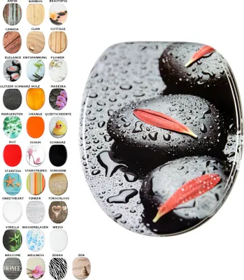A collage of different toilet seat designs, with the main image showing a toilet seat with a zen stone and petal design.