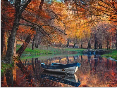 Produktbild von ARTland Wandbild Alu für Innen & Outdoor Bunte Herbstlandschaft Größe: 80x60 cm