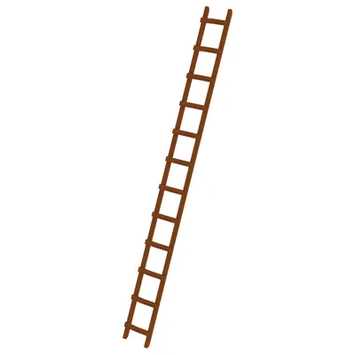 Immagine prodotto di Scala da tetto in legno 12 pioli