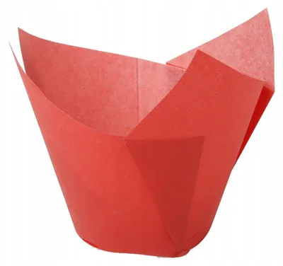 Produktbild von Papilart Tulpen Muffin-Förmchen Rot 180 Stück