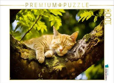 Produktbild von CALVENDO Puzzle Ein Motiv aus dem Kalender "Lieblingsschlafplätze" | 1000 Teile Lege-Größe 64x48cm Foto-Puzzle für glückliche Stunden