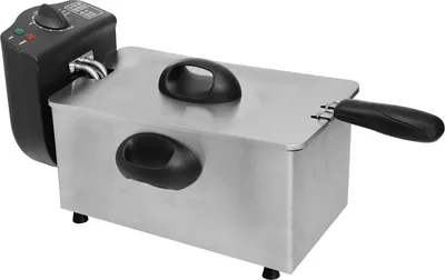 Image de Friteuse en Acier Inoxydable - 3 L